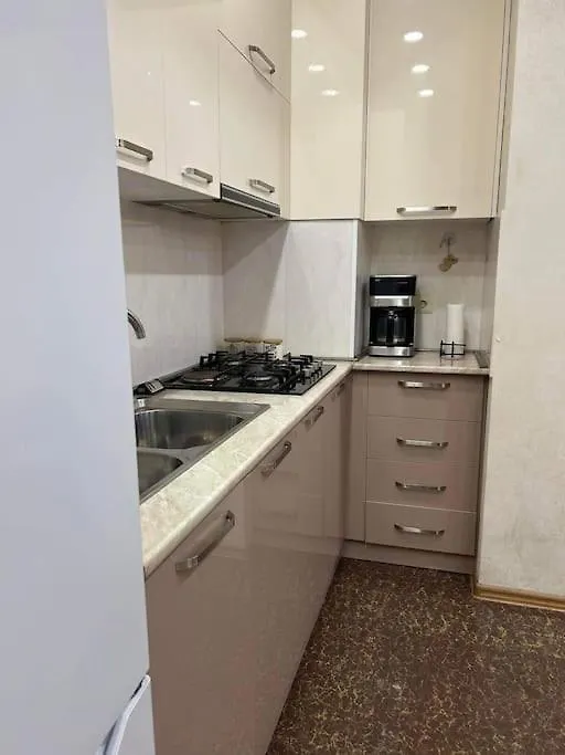 Two-Room Apartment For Rent Tbilisi